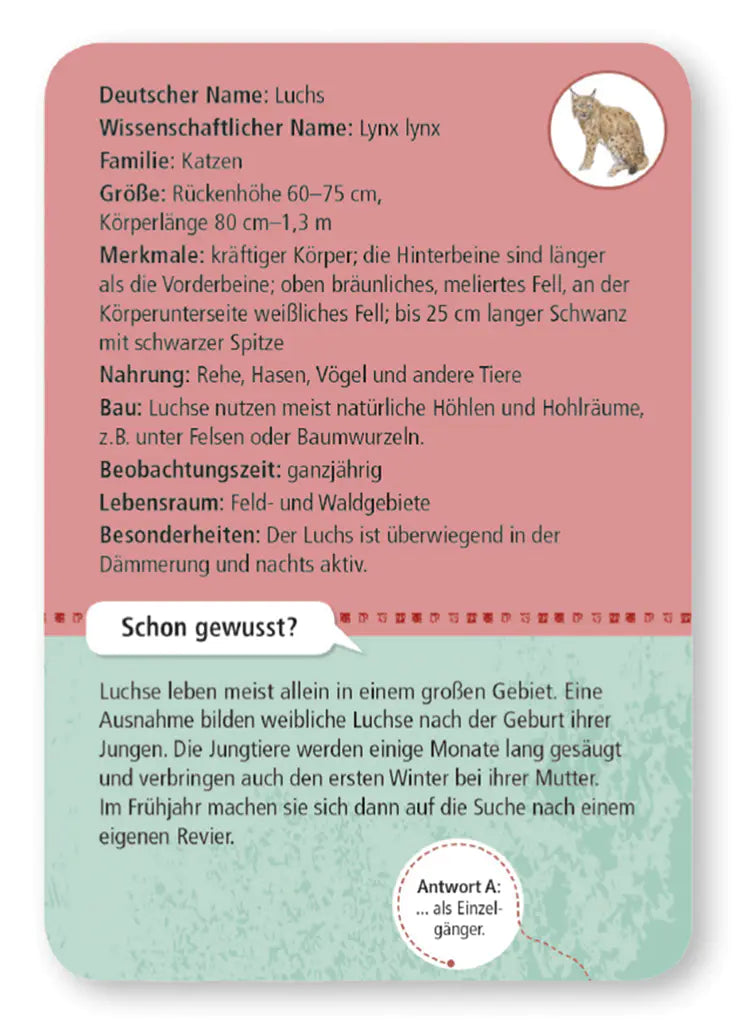 50 heimische Wald- & Wildtiere | Moses Verlag
