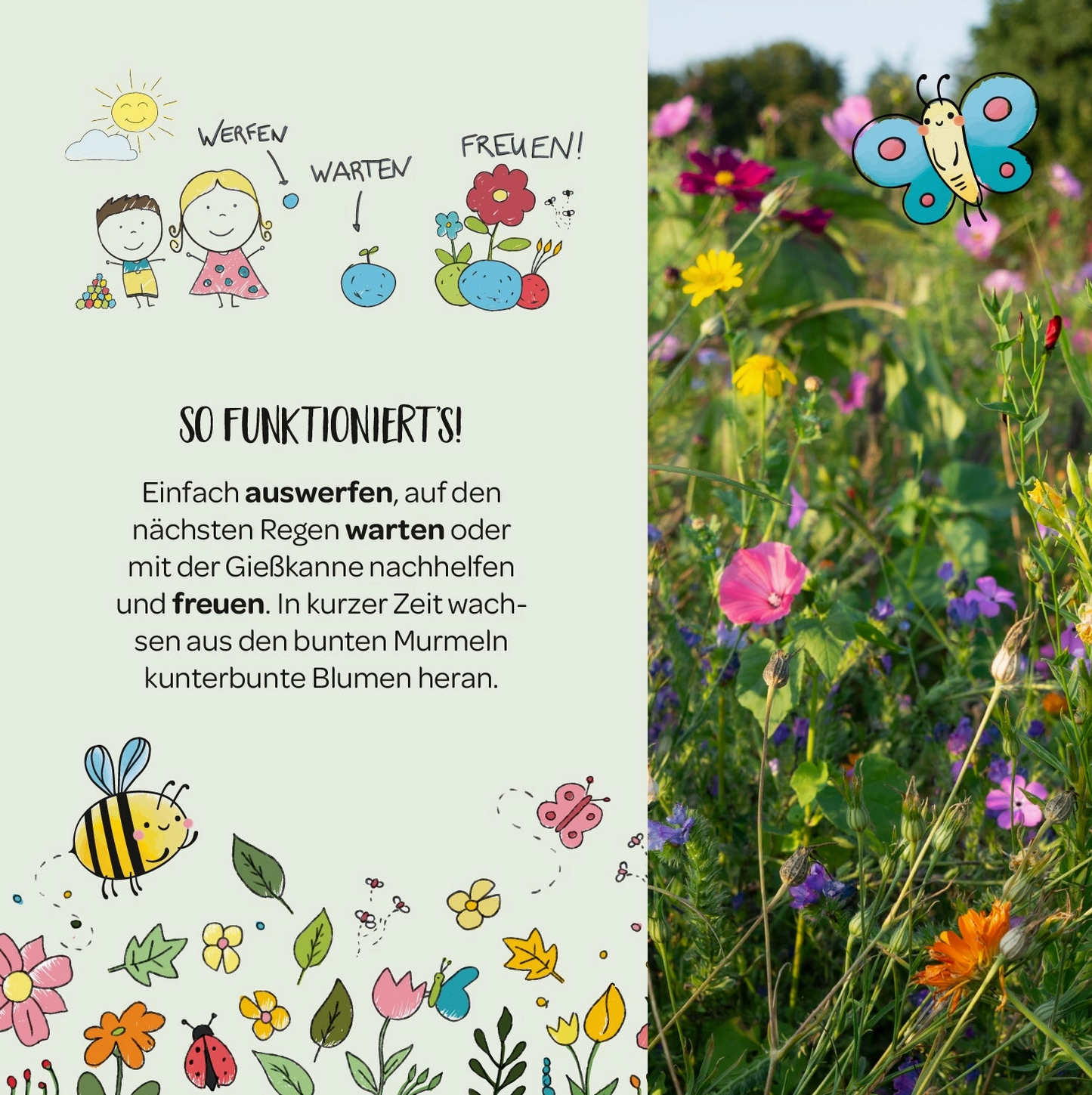 Blumenmurmel | Ellas Duftgarten | Schmetterlingswiese