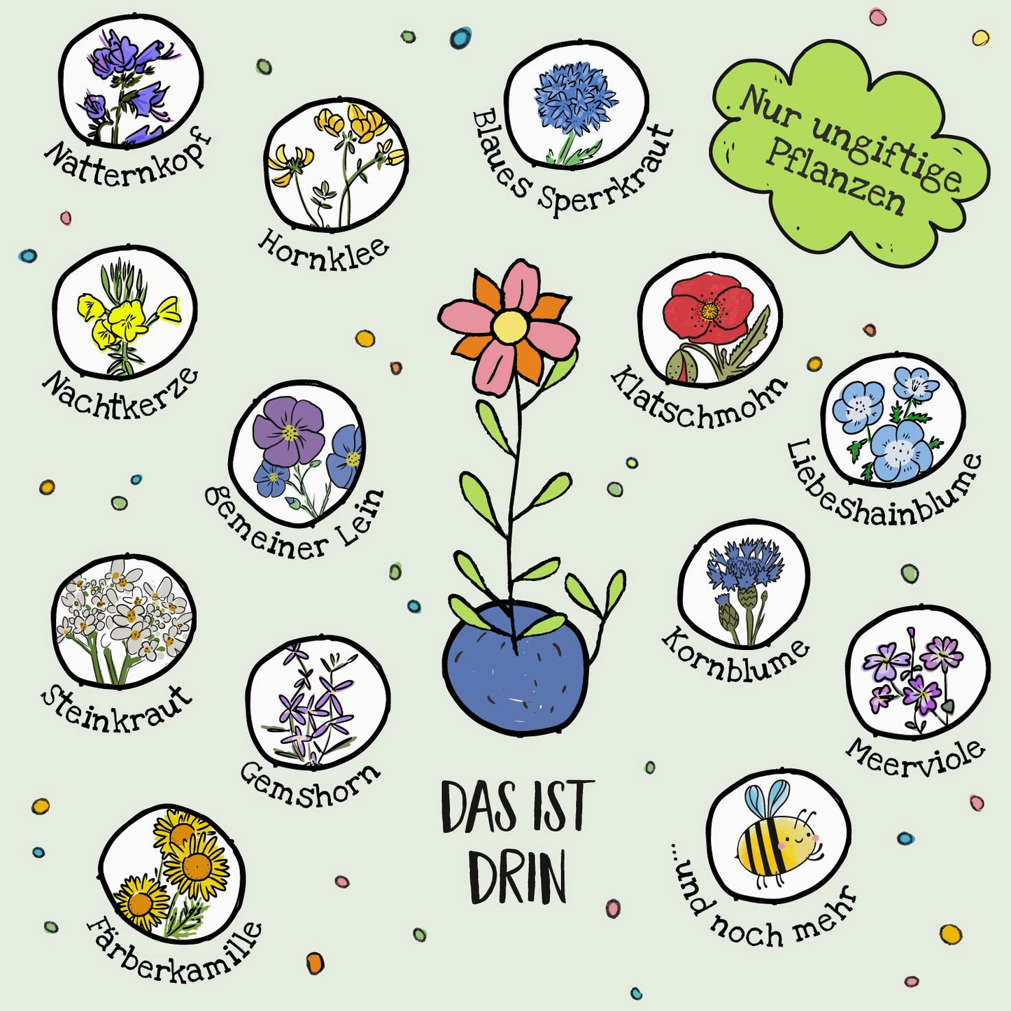 Blumenmurmel | Ellas Duftgarten | Schmetterlingswiese