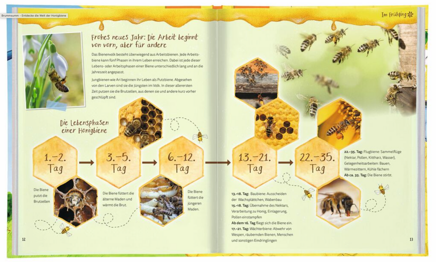 Brummsumm- Entdecke die Welt der Honigbiene