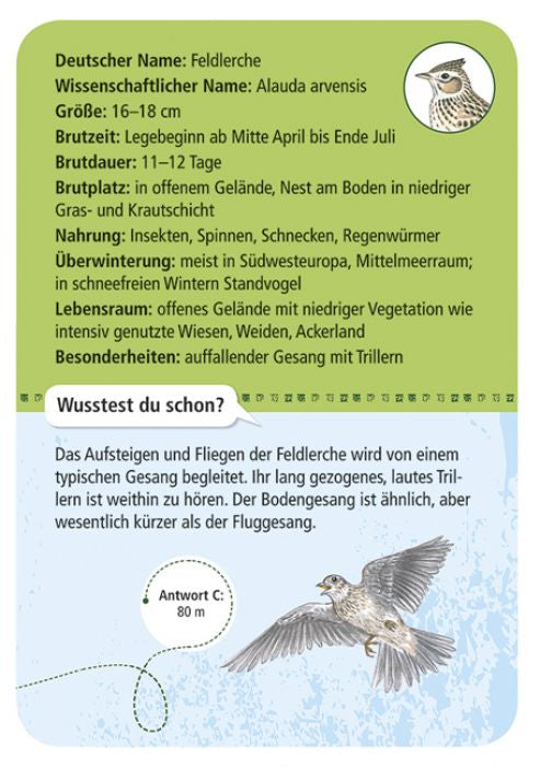 50 heimische Vögel | Moses Verlag