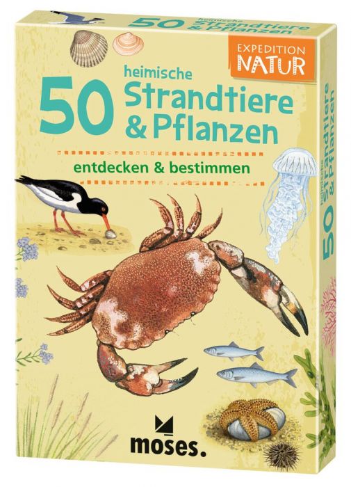 50 heimische Strandtiere & Pflanzen | Moses Verlag