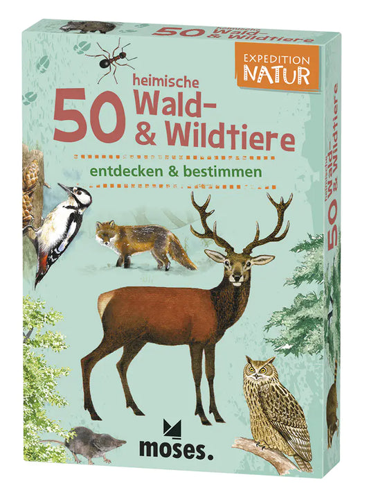 50 heimische Wald- & Wildtiere | Moses Verlag